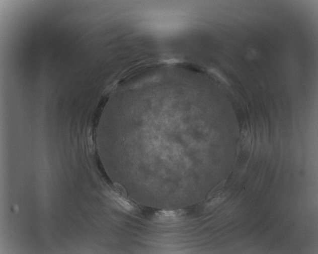 X0000068740381200605011032