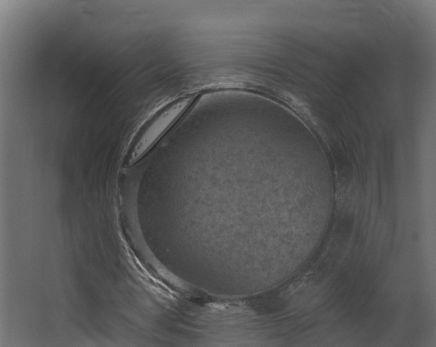 X0000068740386200605011031