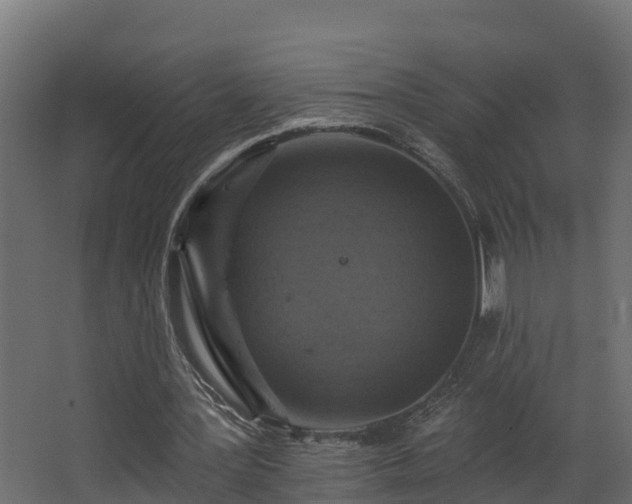 X0000068740387200605011031