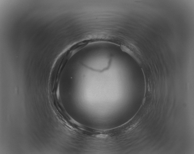 X0000068740388200605011031