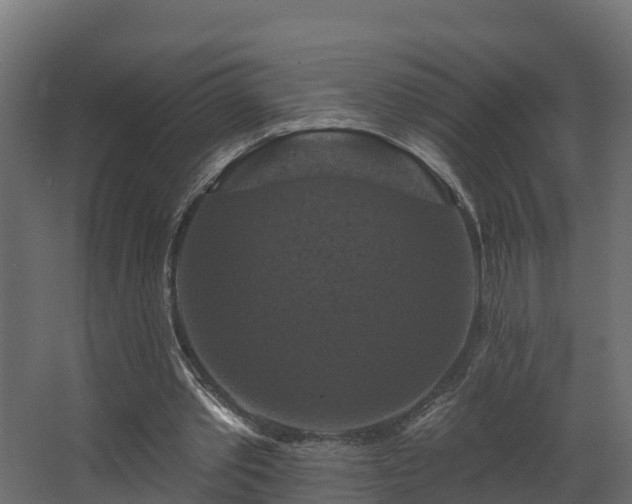 X0000068740389200605011031