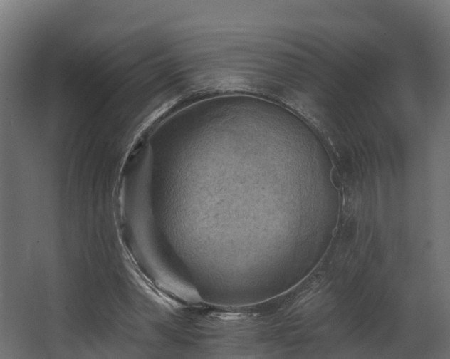 X0000068740390200605011031