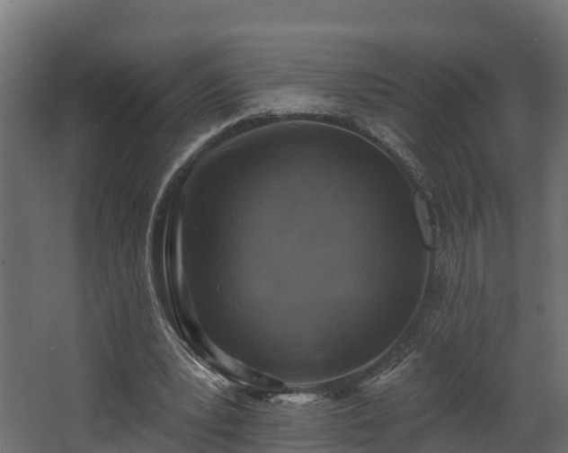 X0000068740391200605011031