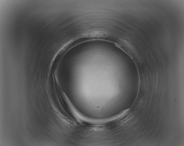 X0000068740392200605011031