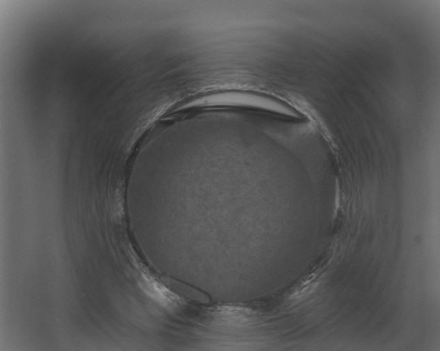 X0000068740393200605011031