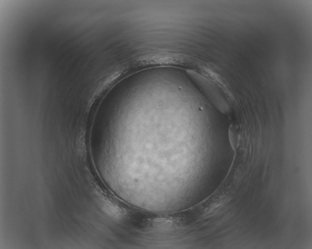 X0000068740394200605011031