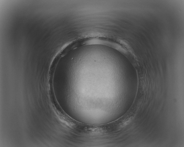 X0000068740395200605011031