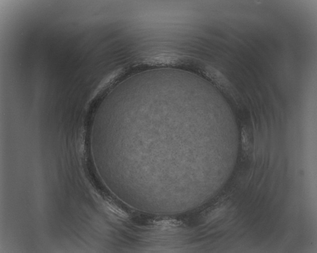 X0000068740396200605011031