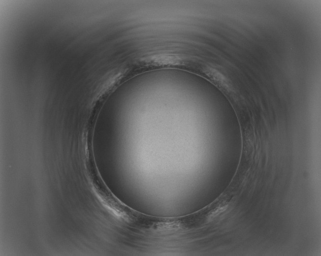 X0000068740398200605011031