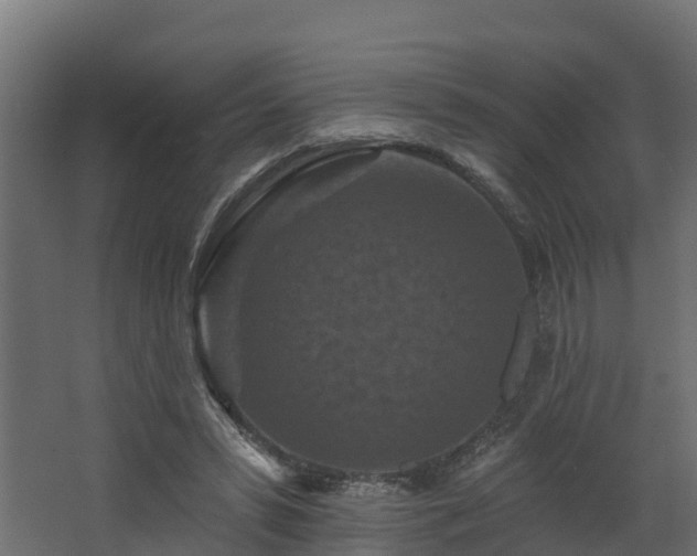 X0000068740399200605011031