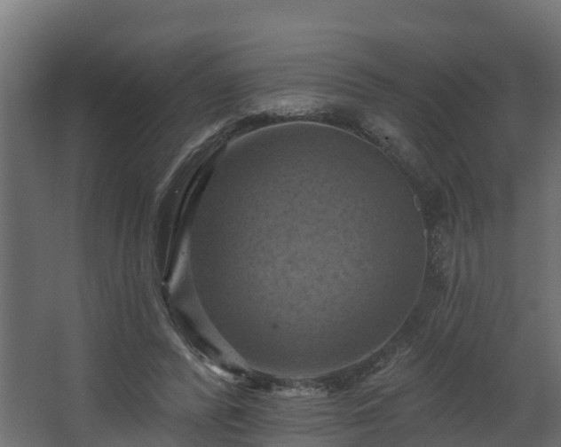 X0000068740400200605011031