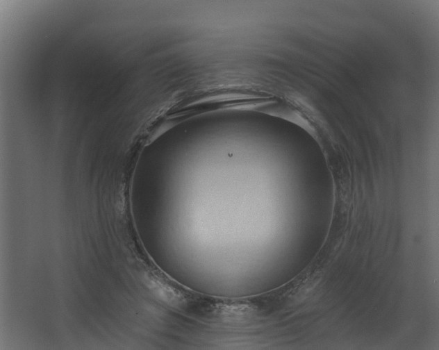 X0000068740401200605011031