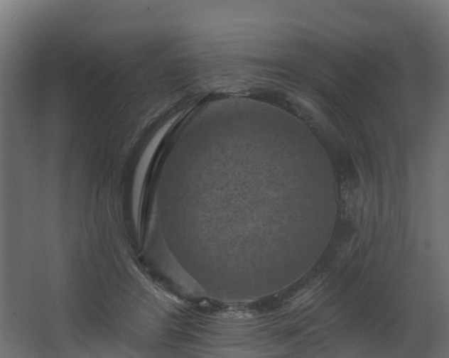 X0000068740404200605011030