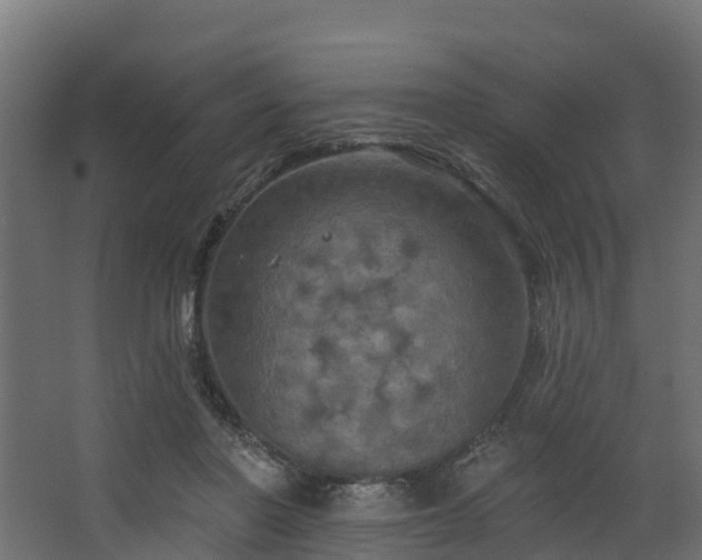 X0000068740406200605011030