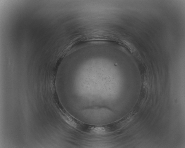 X0000068740409200605011030