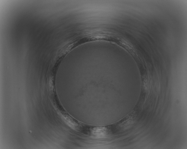 X0000068740410200605011030