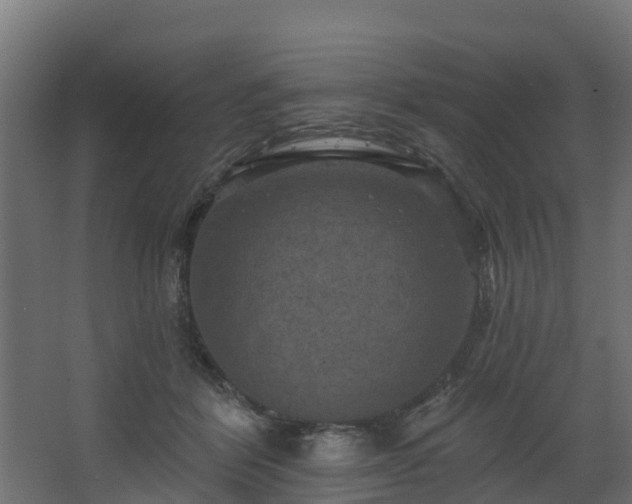 X0000068740412200605011030