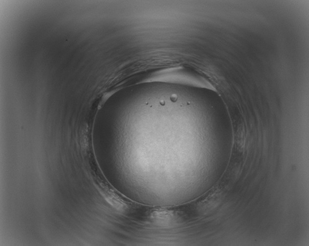 X0000068740413200605011030