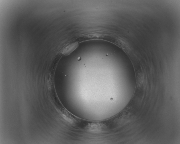 X0000068740414200605011030