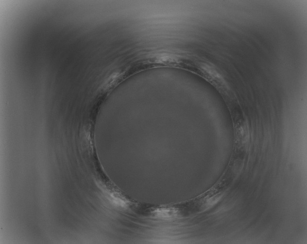 X0000068740415200605011030