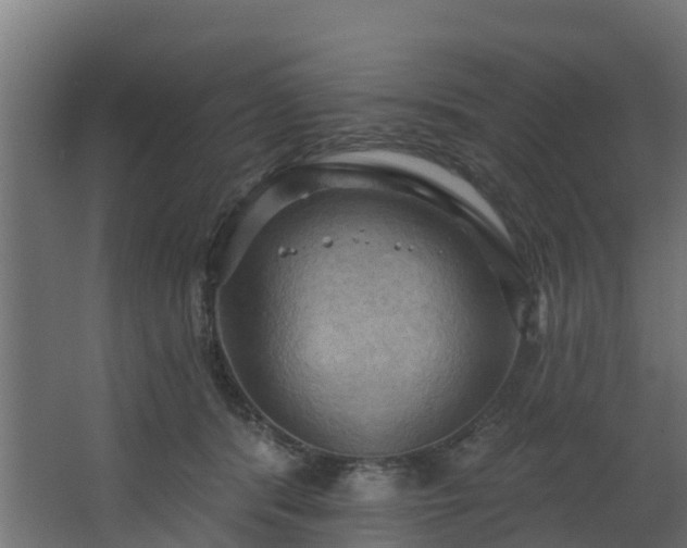 X0000068740416200605011030