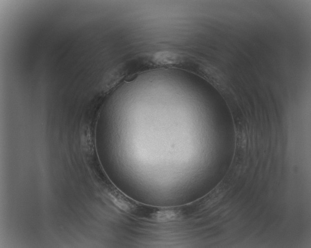 X0000068740418200605011030