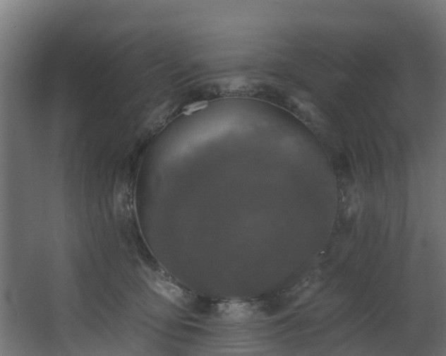 X0000068740419200605011030