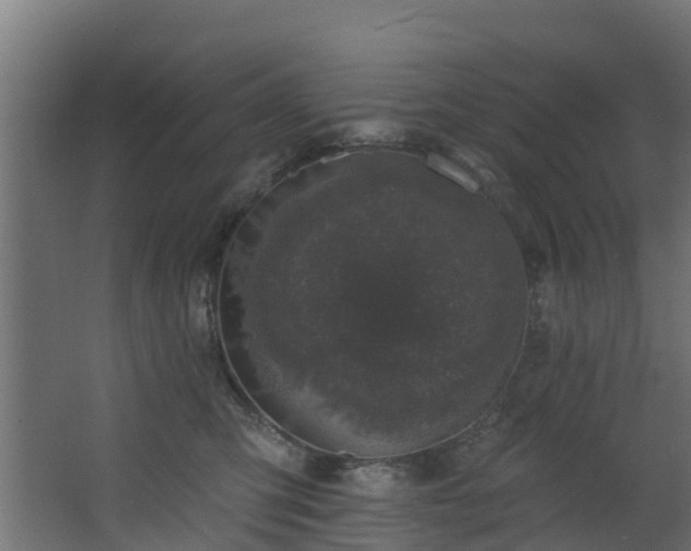 X0000068740423200605011030