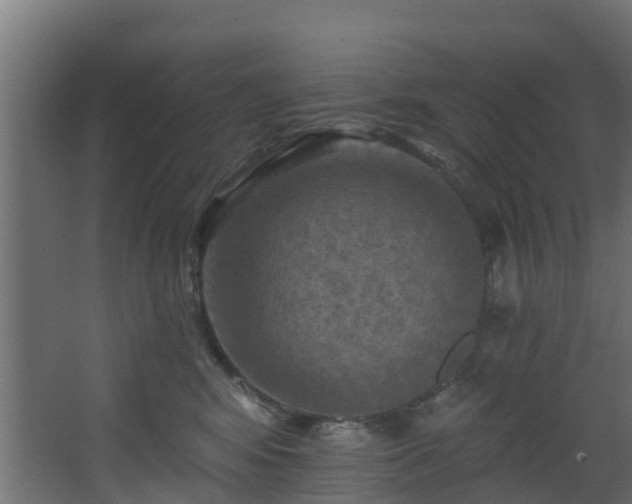 X0000068740424200605011030