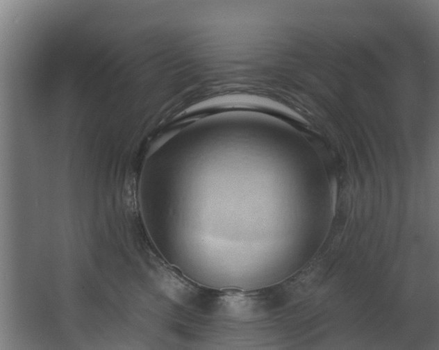 X0000068740425200605011030