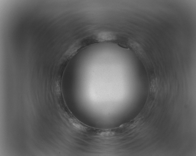 X0000068740426200605011030