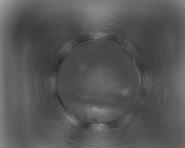 X0000068740427200605011030