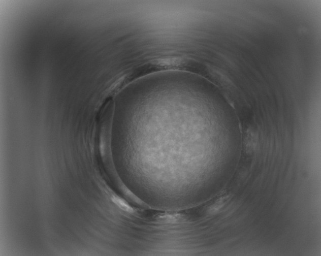 X0000068740428200605011030