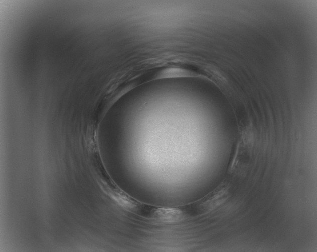 X0000068740429200605011030