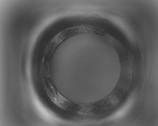 X0000068740431200605011030