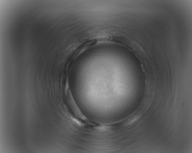 X0000068740432200605011030