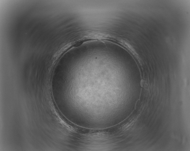 X0000068740433200605011029