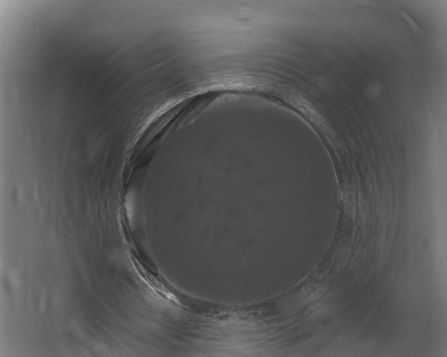 X0000068740434200605011029