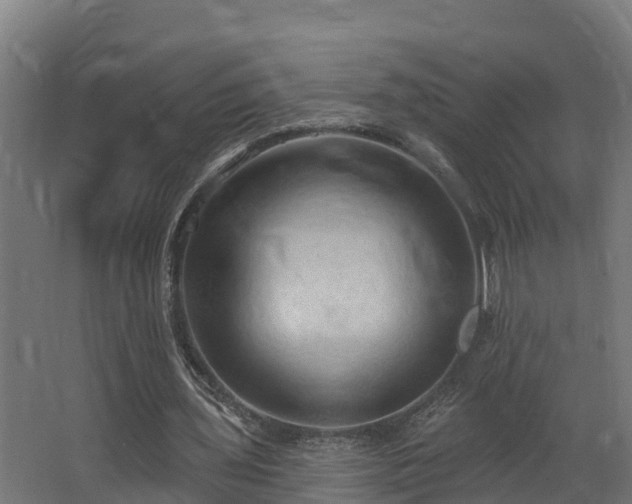 X0000068740435200605011029