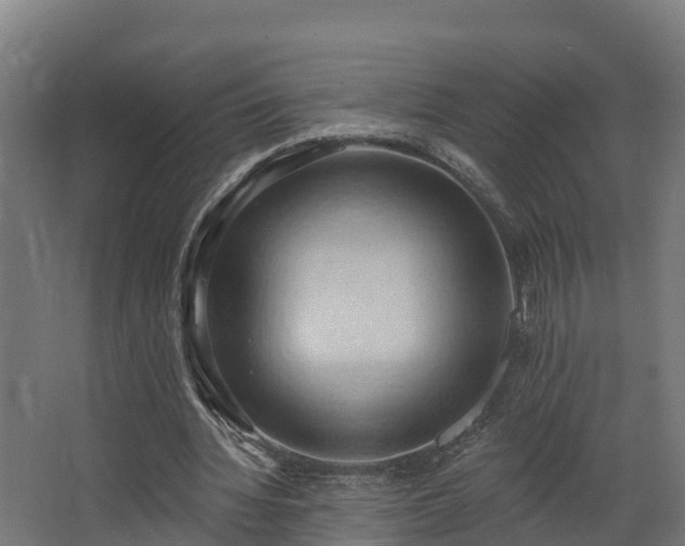 X0000068740436200605011029