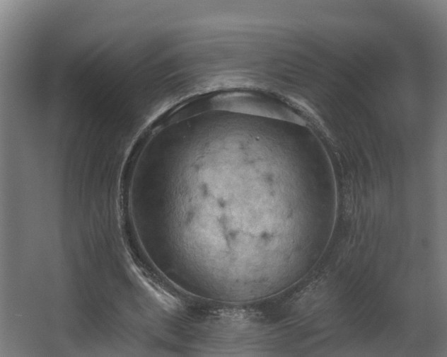 X0000068740439200605011029