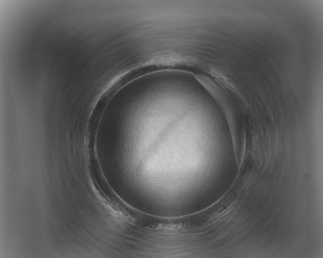 X0000068740440200605011029