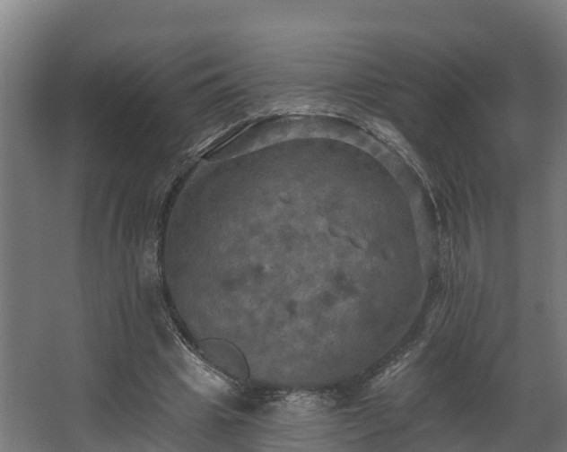 X0000068740441200605011029