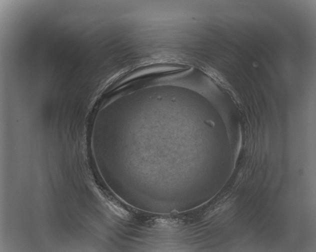 X0000068740442200605011029