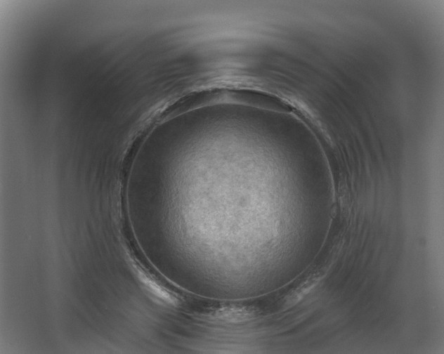 X0000068740445200605011029