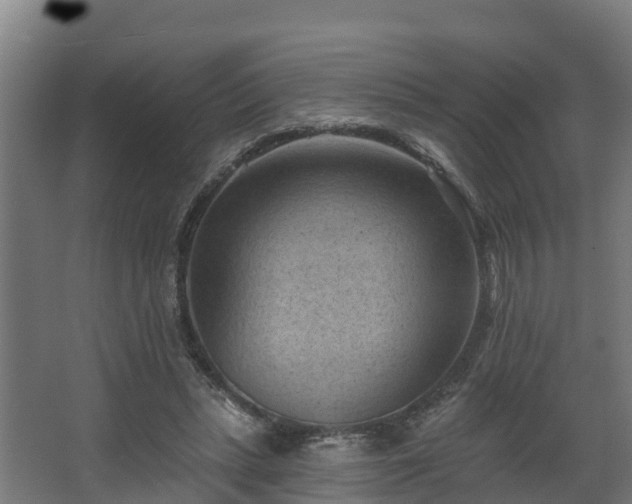 X0000068740447200605011029