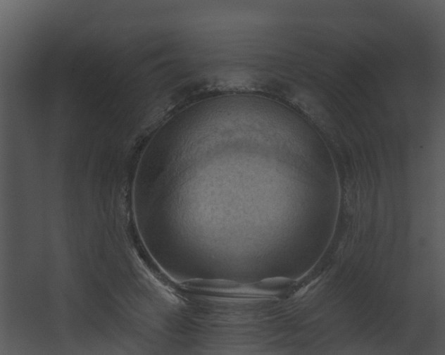 X0000068740449200605011029