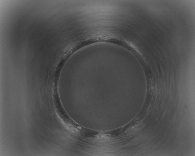 X0000068740451200605011029