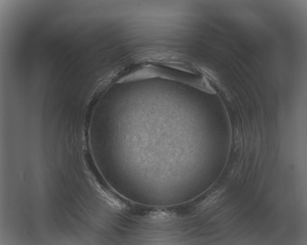 X0000068740453200605011030