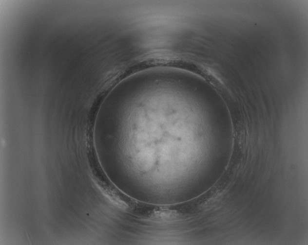 X0000068740455200605011030